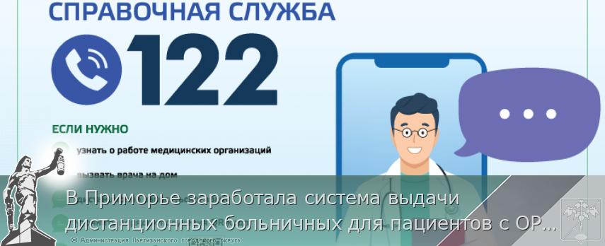 В Приморье заработала система выдачи дистанционных больничных для пациентов с ОРВИ, сообщает www.primorsky.ru
