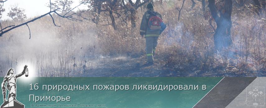 16 природных пожаров ликвидировали в Приморье