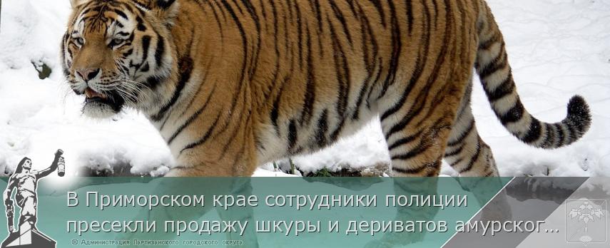 В Приморском крае сотрудники полиции пресекли продажу шкуры и дериватов амурского тигра